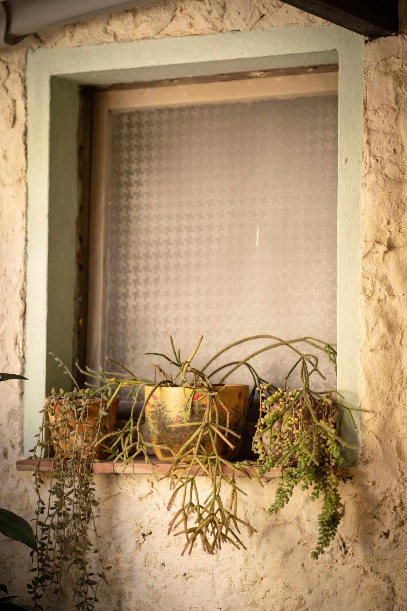 Bed and Breakfast Sa Domu De Ladiri - Matrimoniale Con Giardino Musei Exterior foto